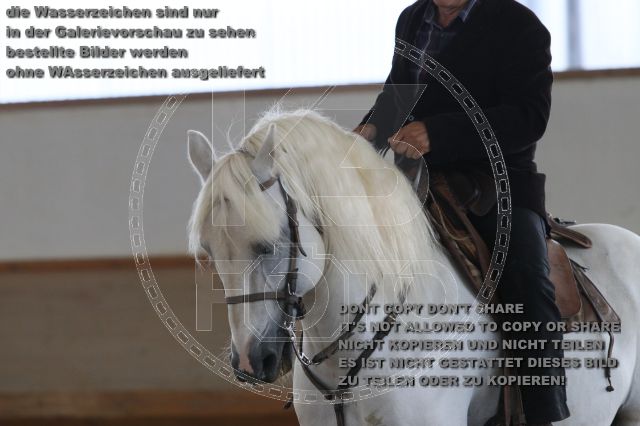 s_IMG_9995.JPG
